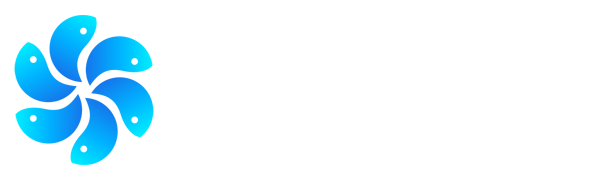 福建体彩
